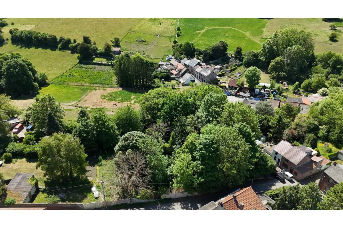 Terrain à vendre à Colfontaine 7340 90000.00€  chambres m² - annonce 784821