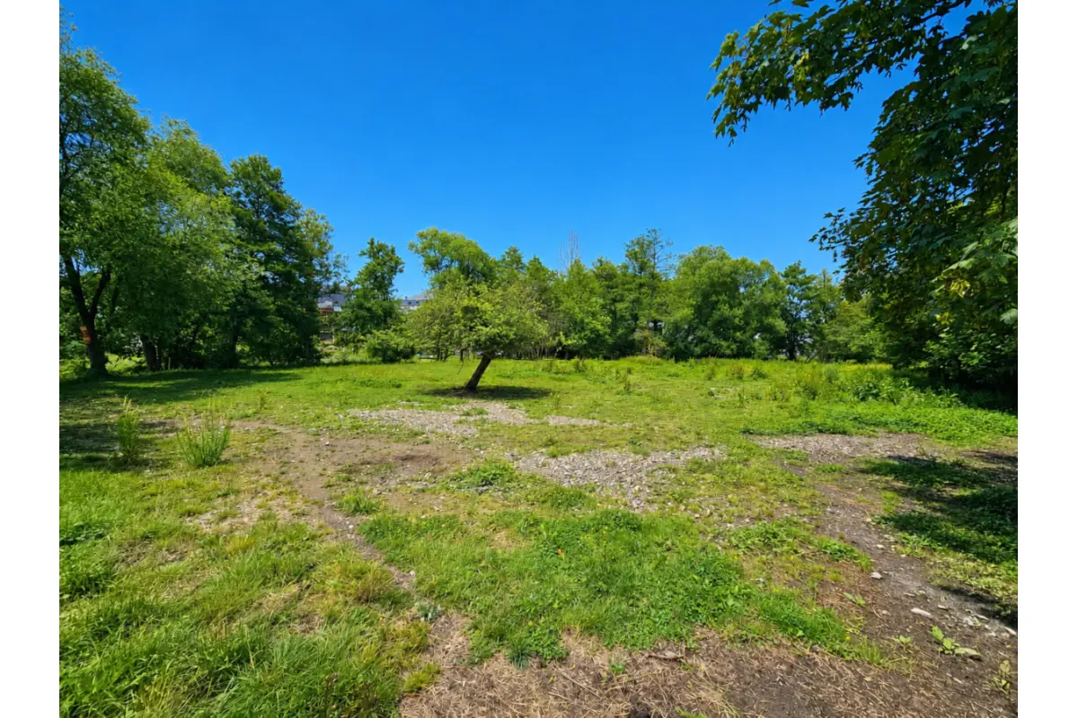 Terrain à bâtir à  à Viroinval 5670 49000.00€  chambres m² - annonce 788562