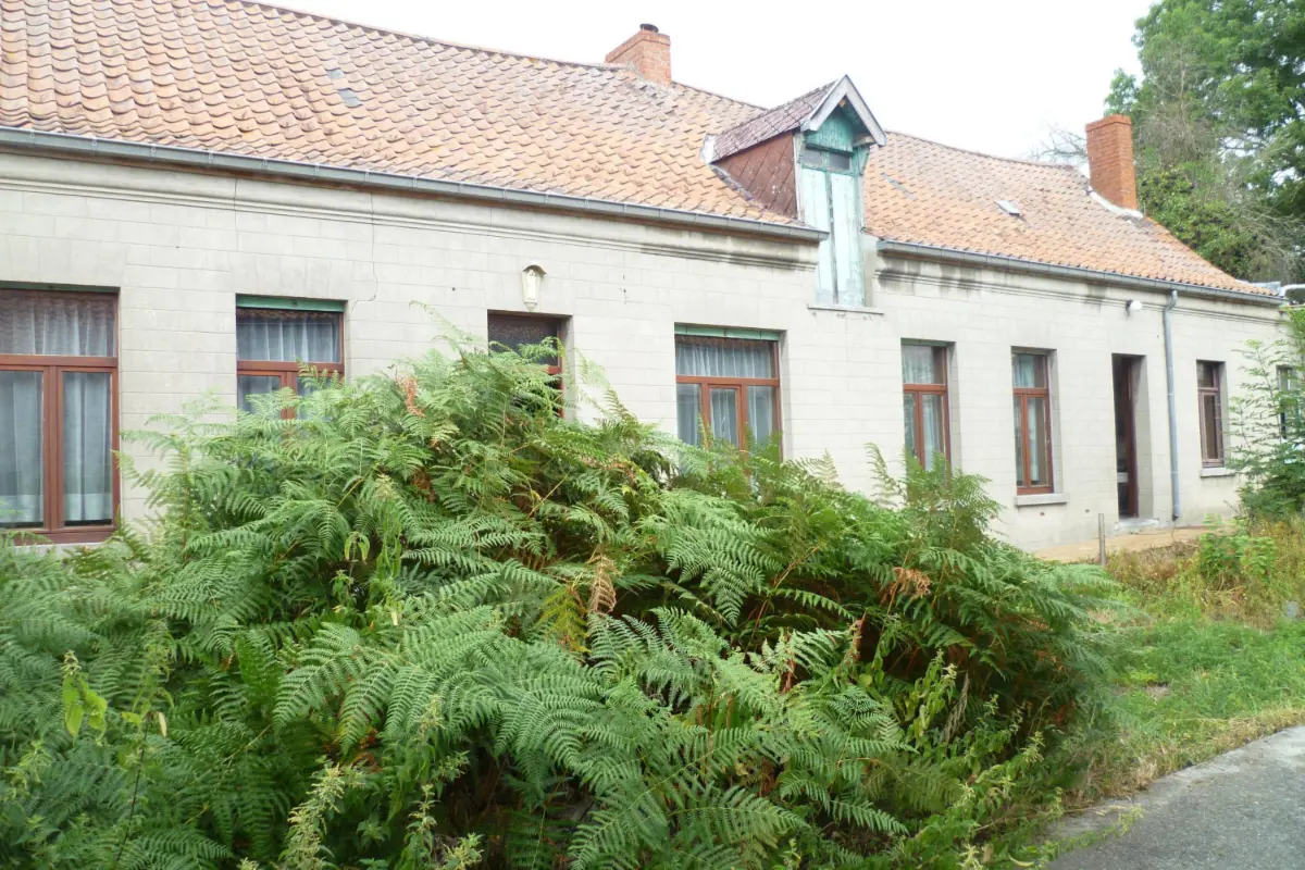 Commerce à vendre à Maubray 7640 320000.00€ 2 chambres 156.00m² - annonce 804305