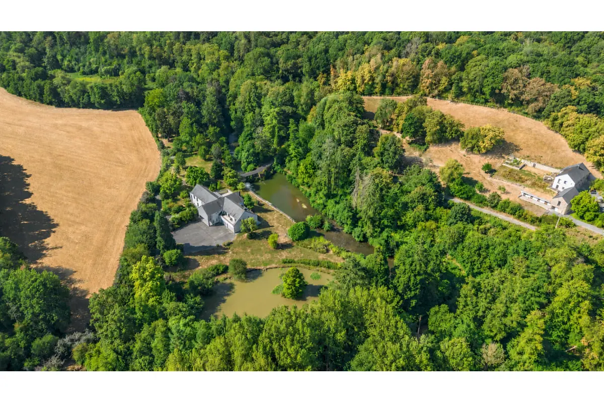 Maison à vendre à Jamioulx 6120 1850000.00€ 7 chambres 700.00m² - annonce 805395