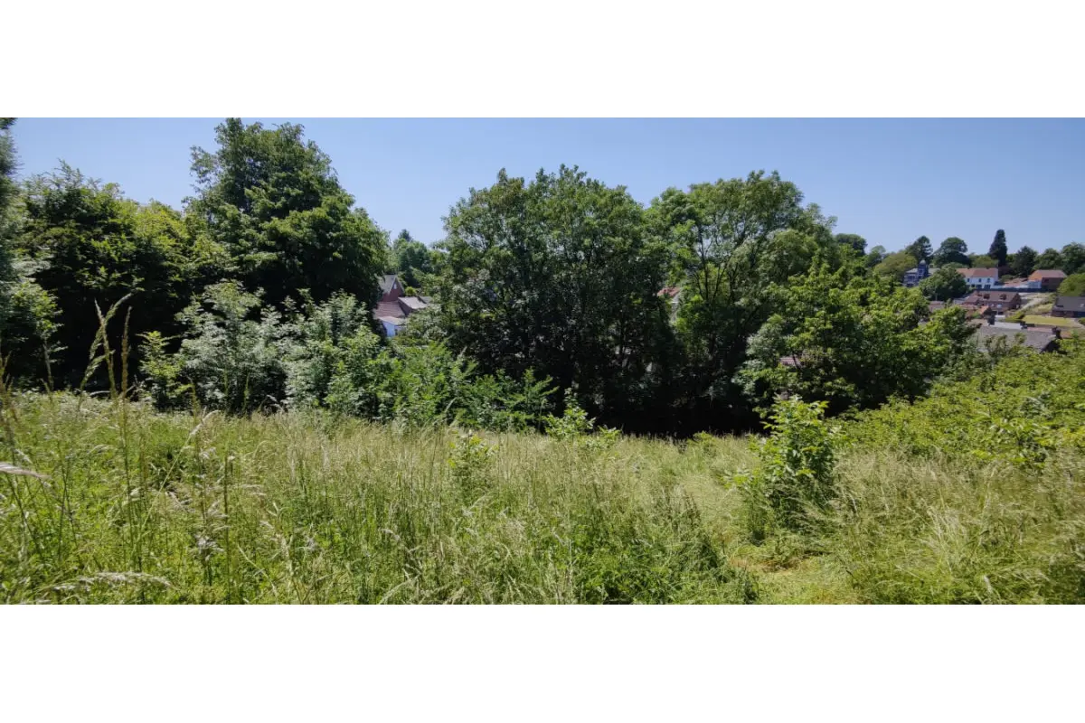 Terrain à bâtir à vendre à Colfontaine 7340 118000.00€  chambres m² - annonce 807211