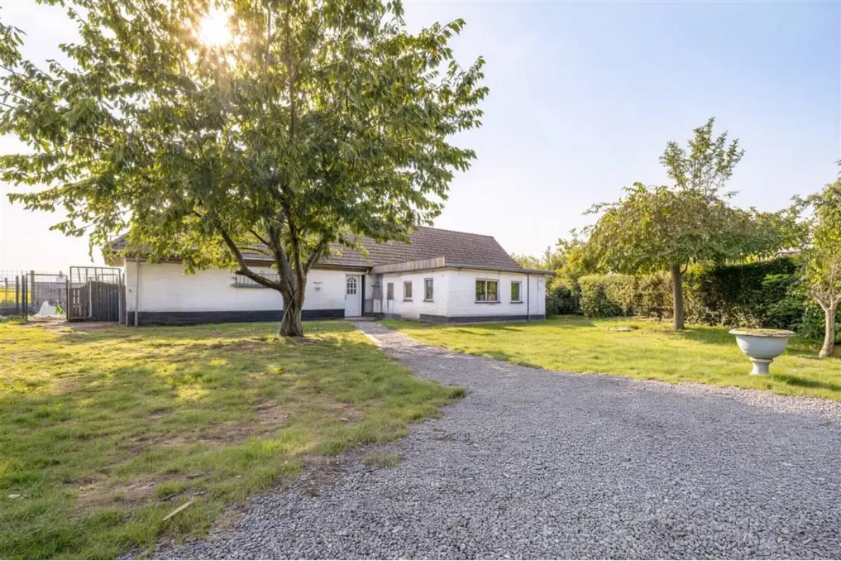 Maison à vendre à Pottes 7760 255000.00€ 3 chambres 180.00m² - annonce 817375