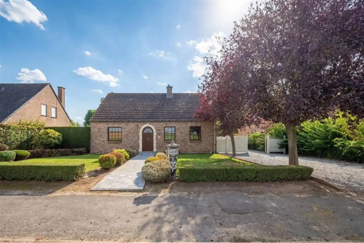 Maison à vendre à Arbre 7811 325000.00€ 5 chambres 171.00m² - annonce 820290