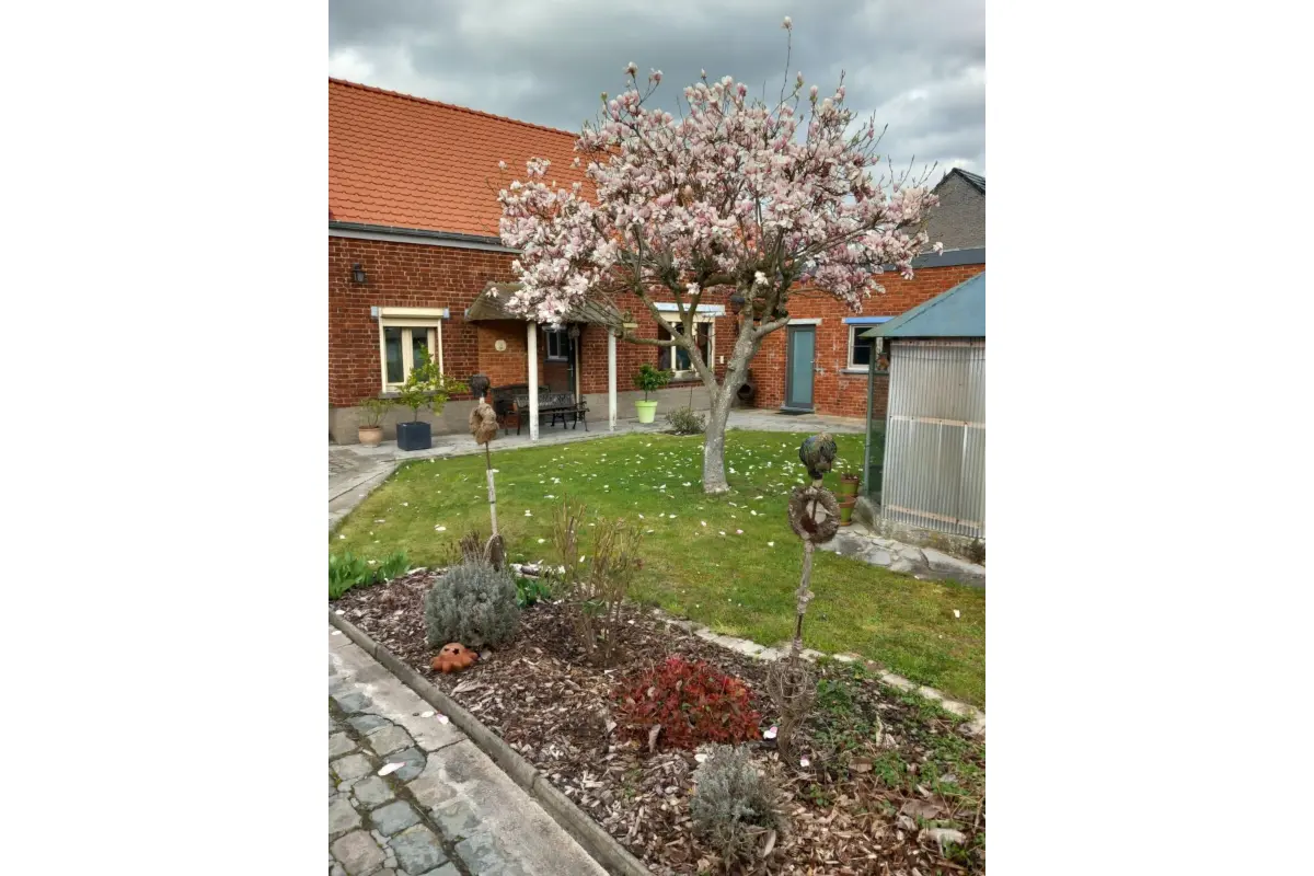 Maison à  à Jurbise 7050 1100.00€ 2 chambres m² - annonce 820840